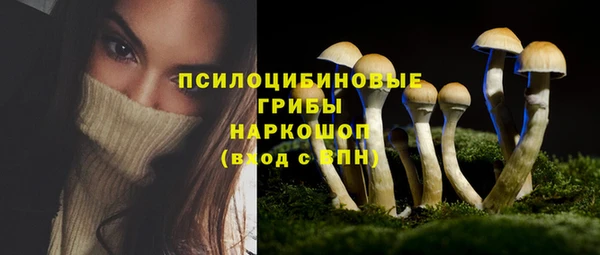 ешки Майский