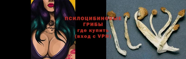 СК Магадан