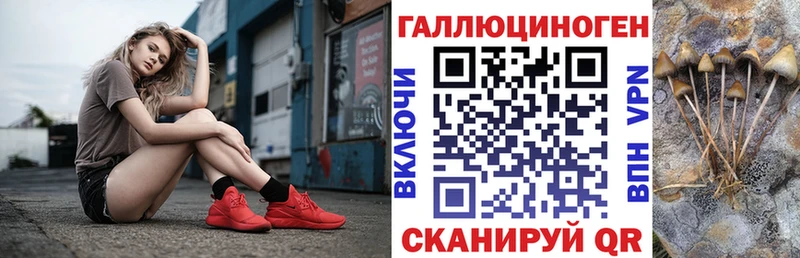 Галлюциногенные грибы Cubensis Купить закладки Зуевка